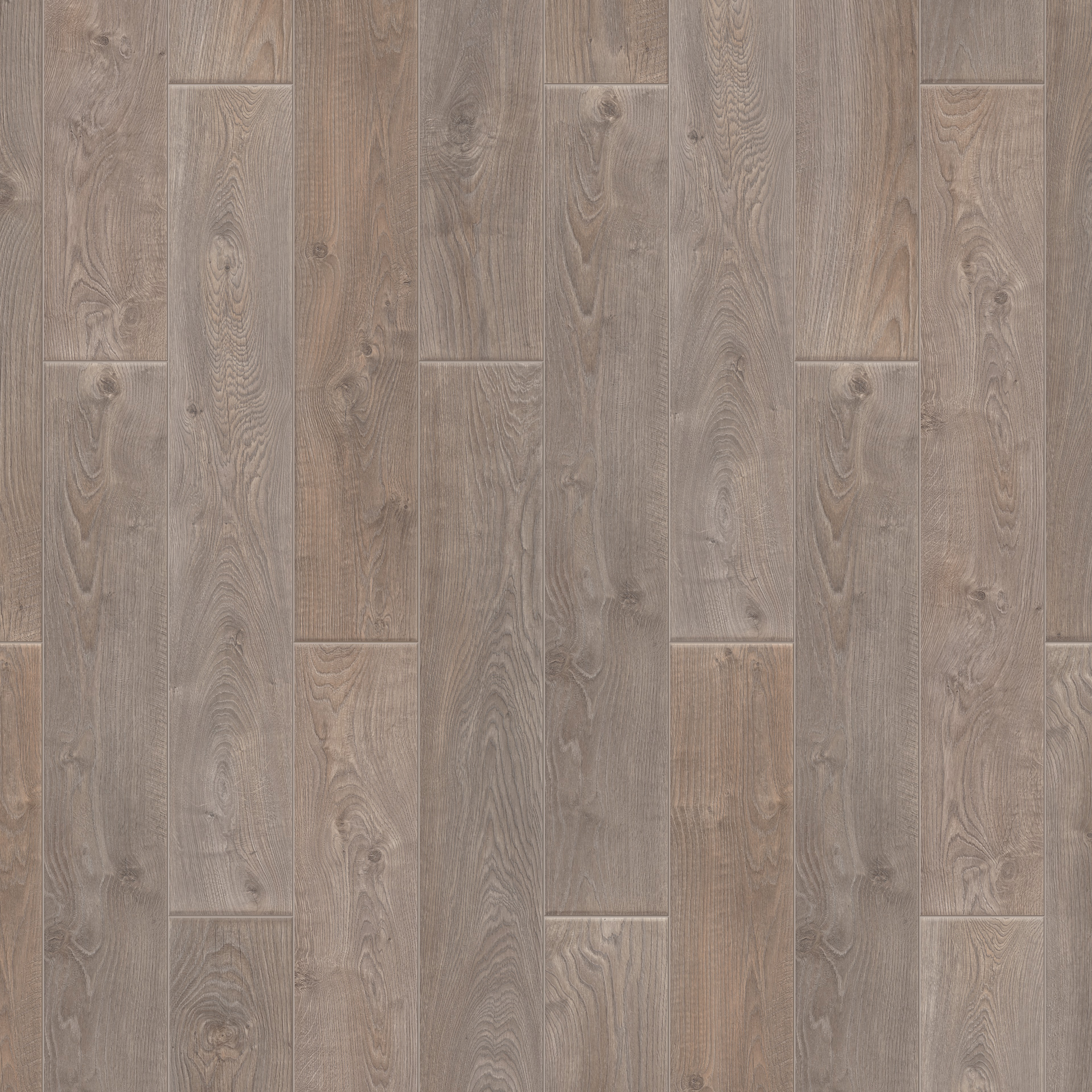 Oak Natur grey