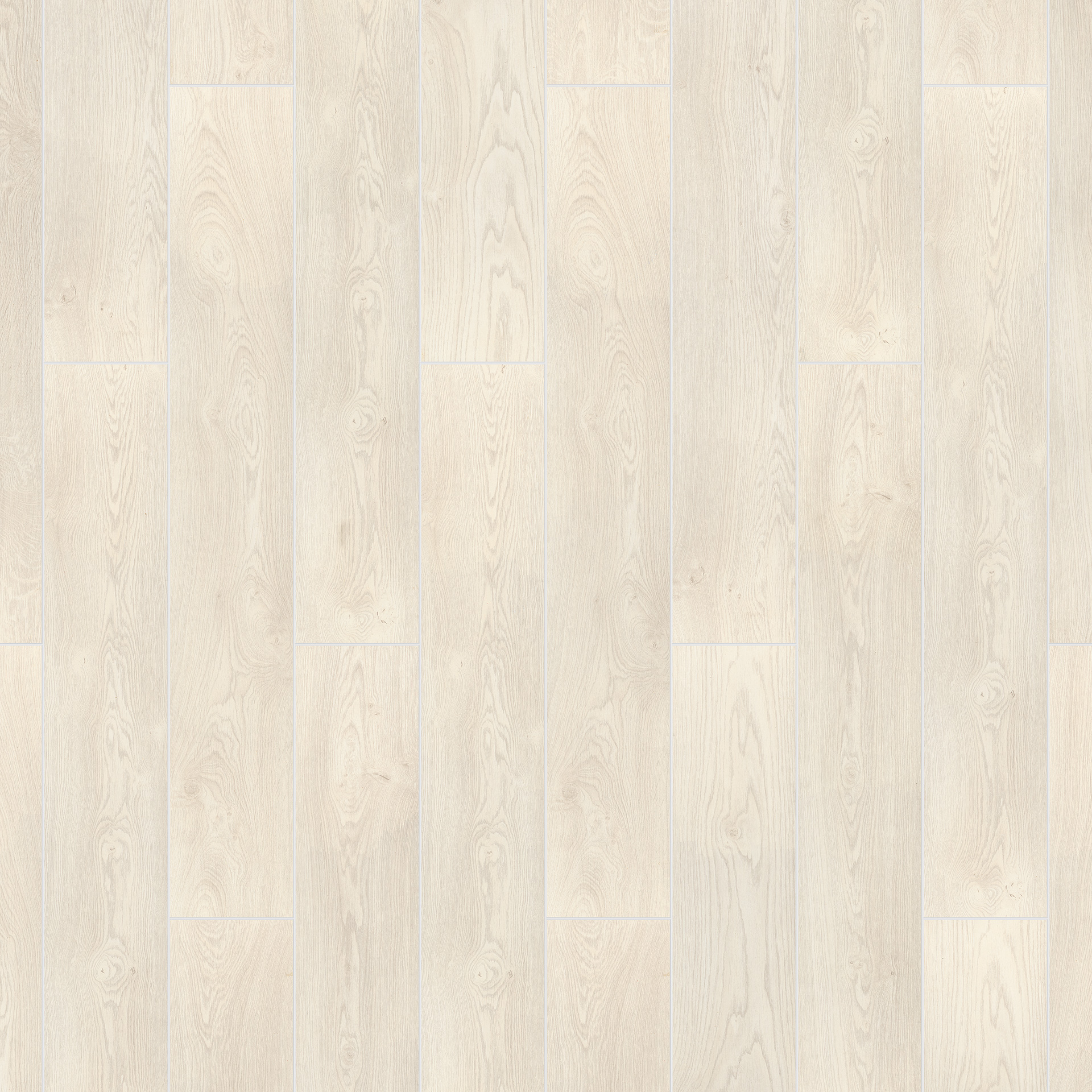 Oak Albione