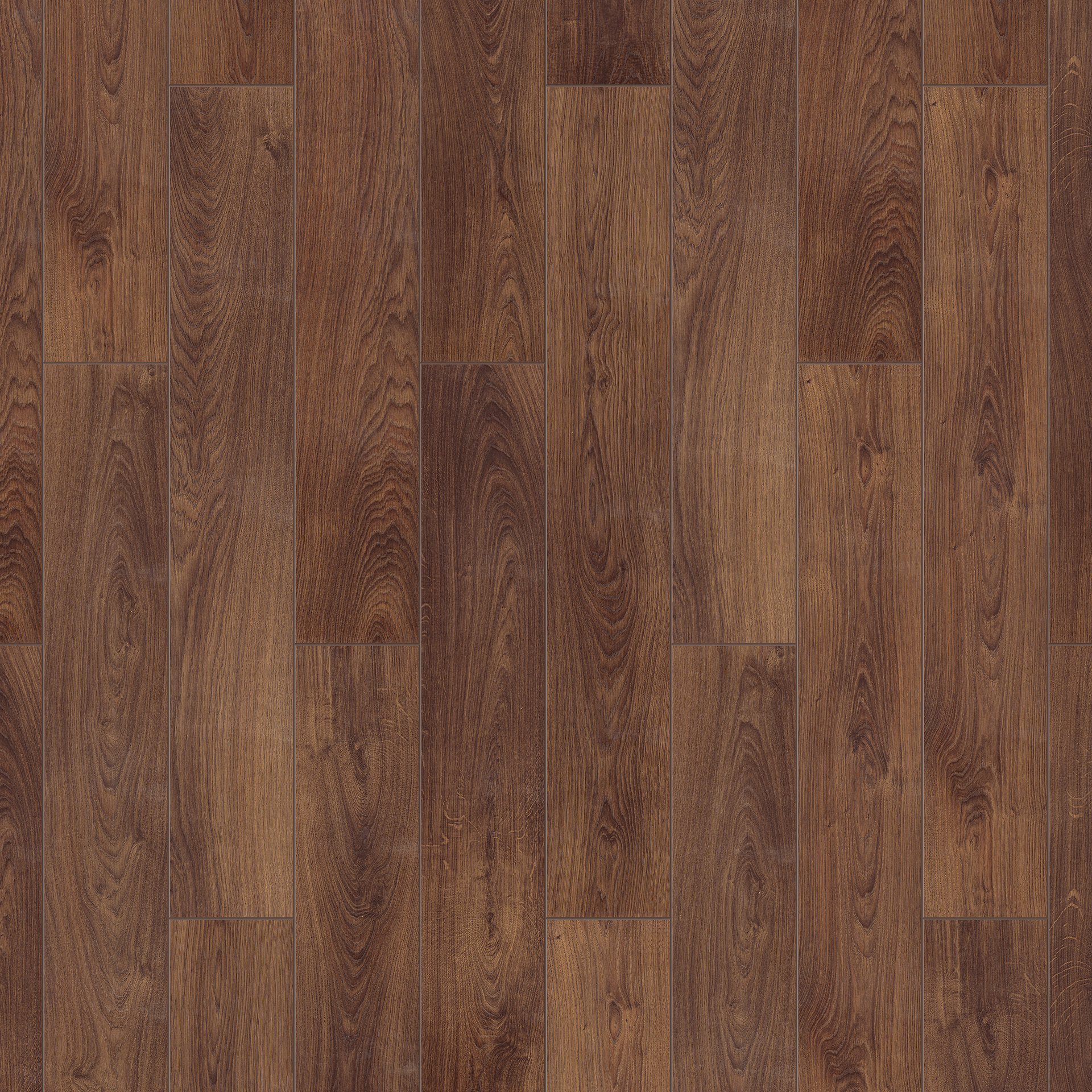 Oak Grandor