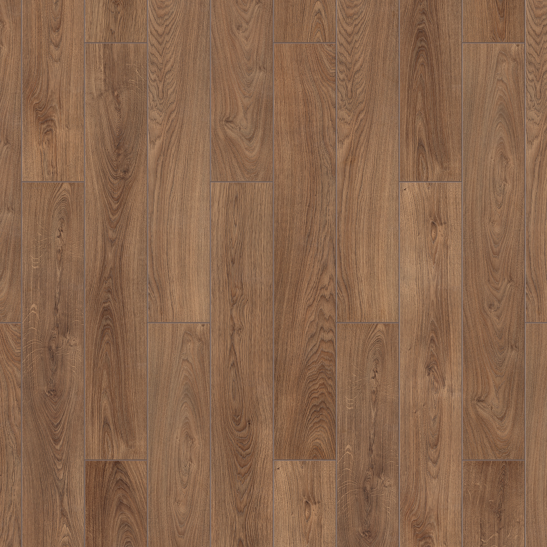 Oak Vignone