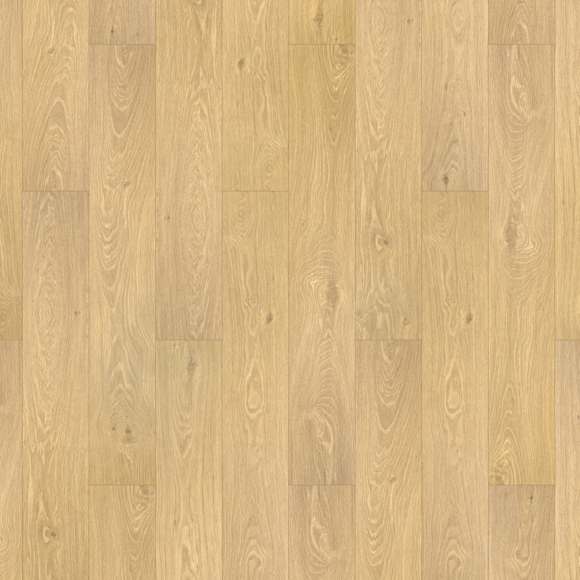 Oak Hamburg