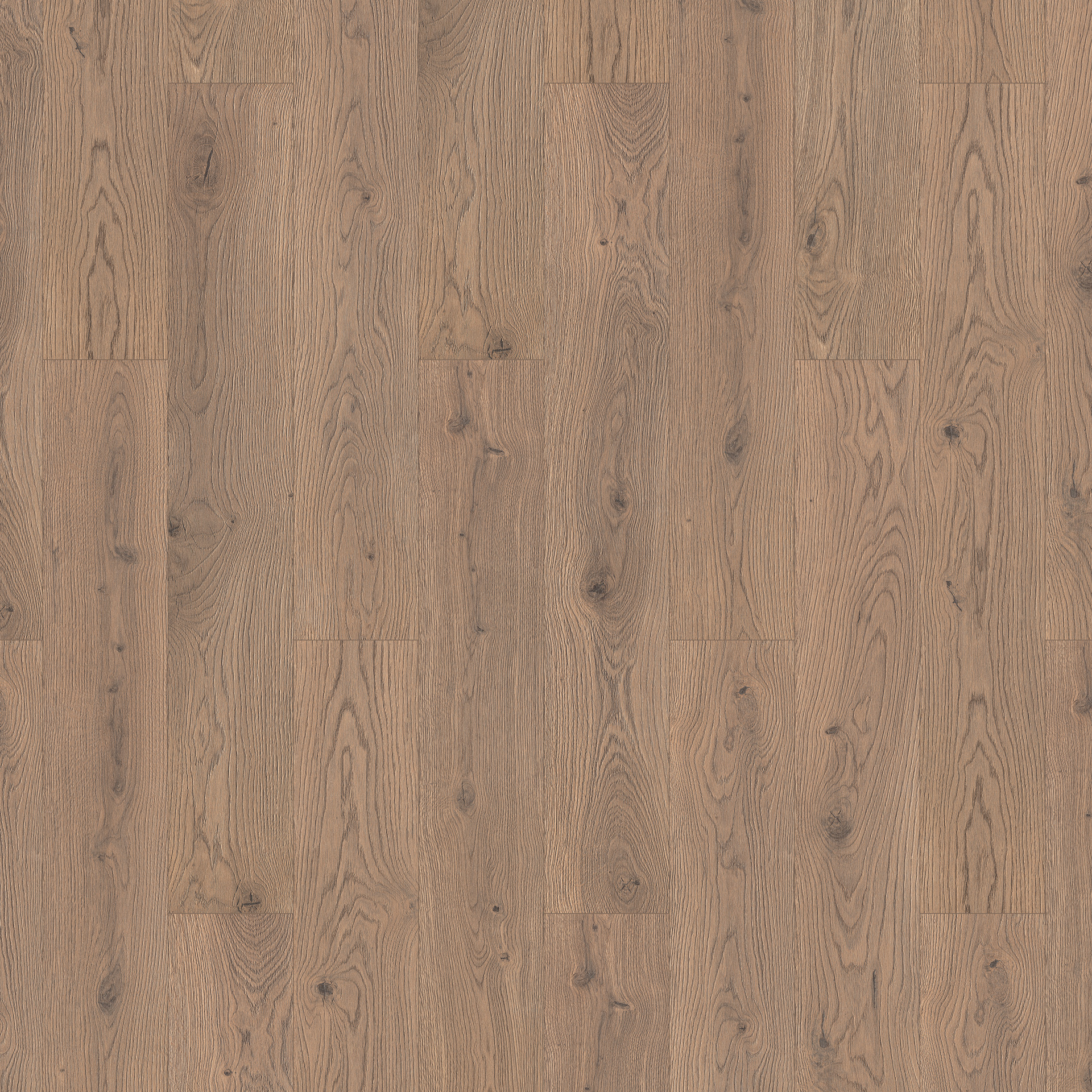 Oak Hannover
