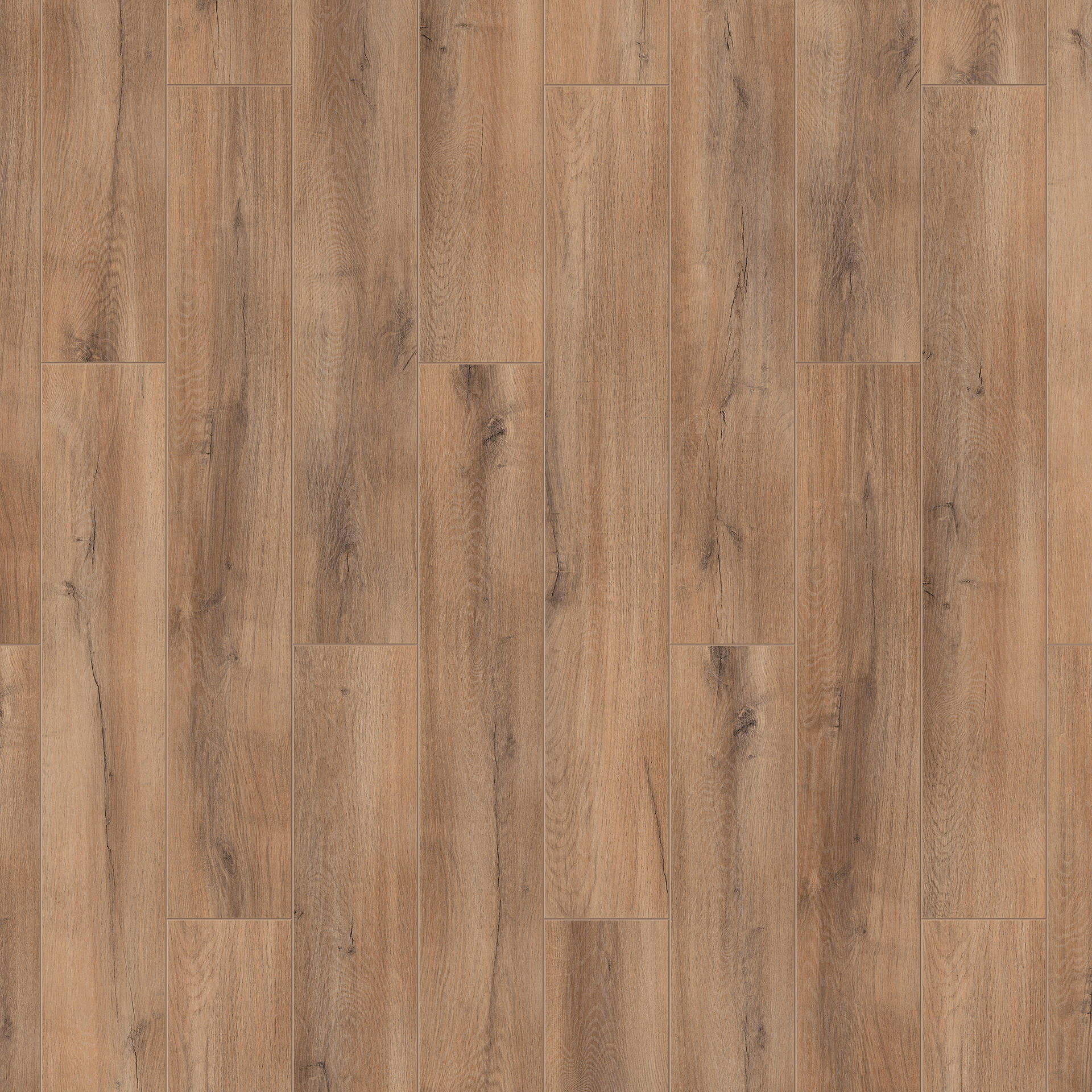 Oak dark-brown