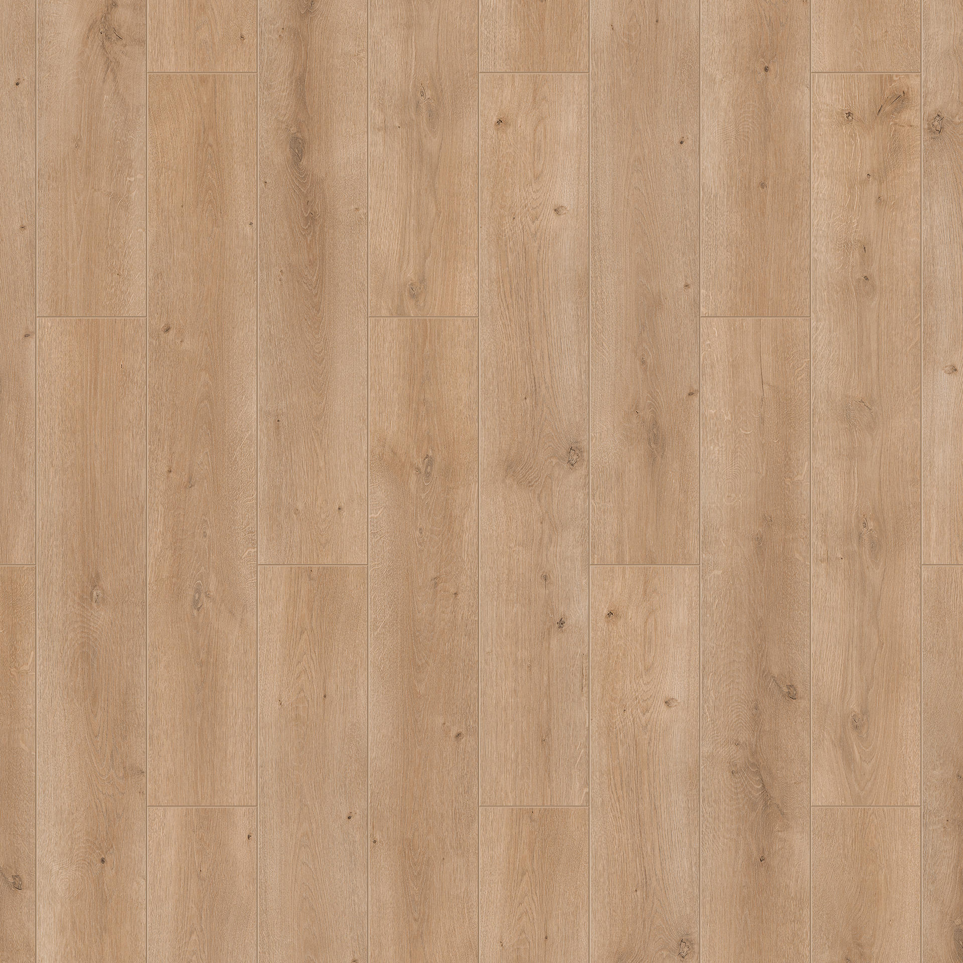 Oak light-brown