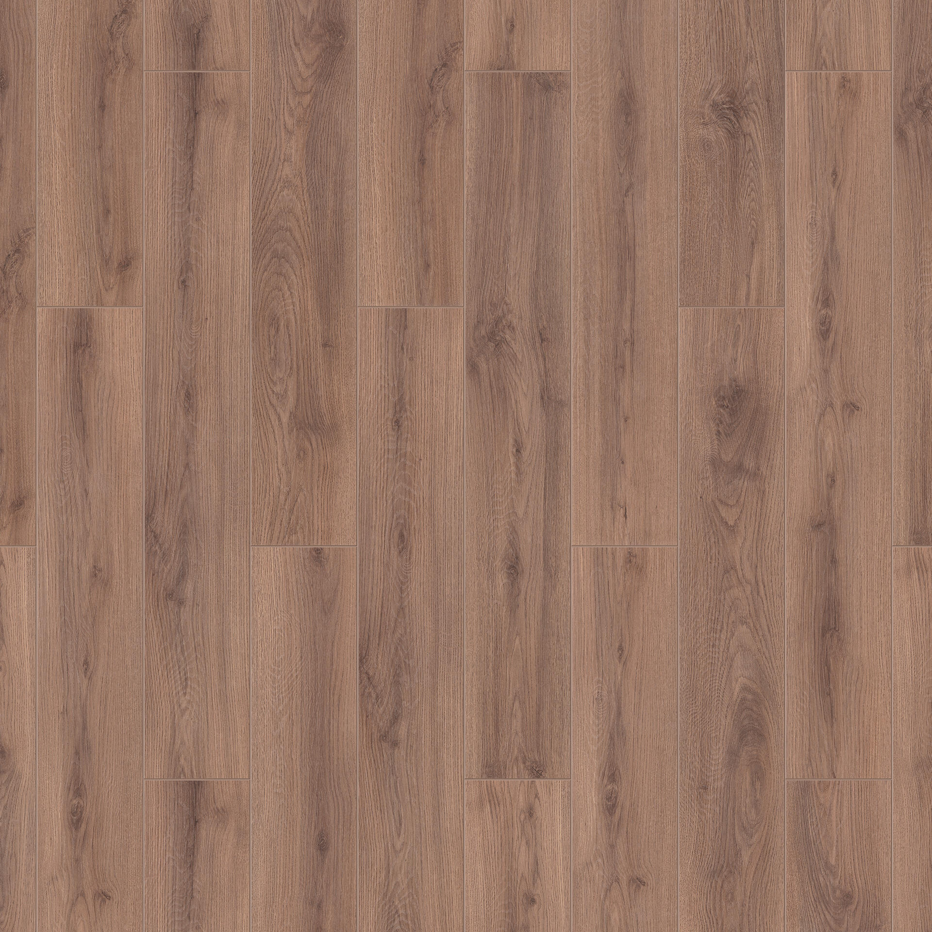 Oak Alatau