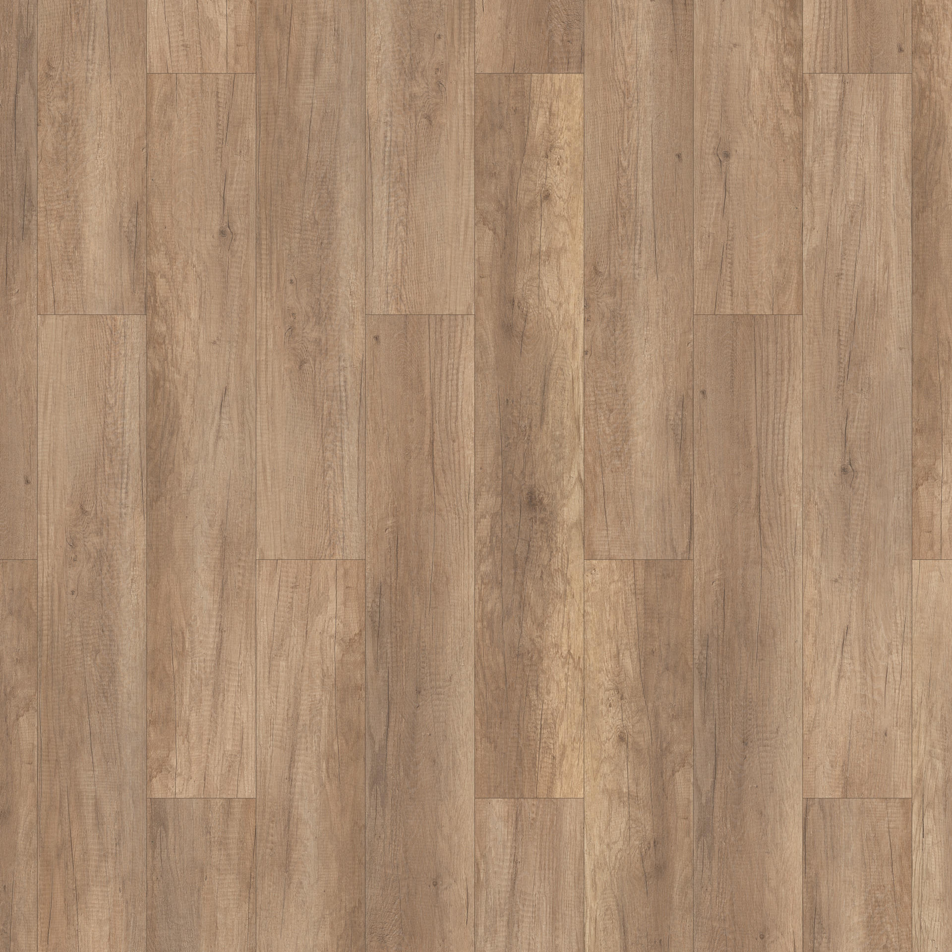 Oak Maverick