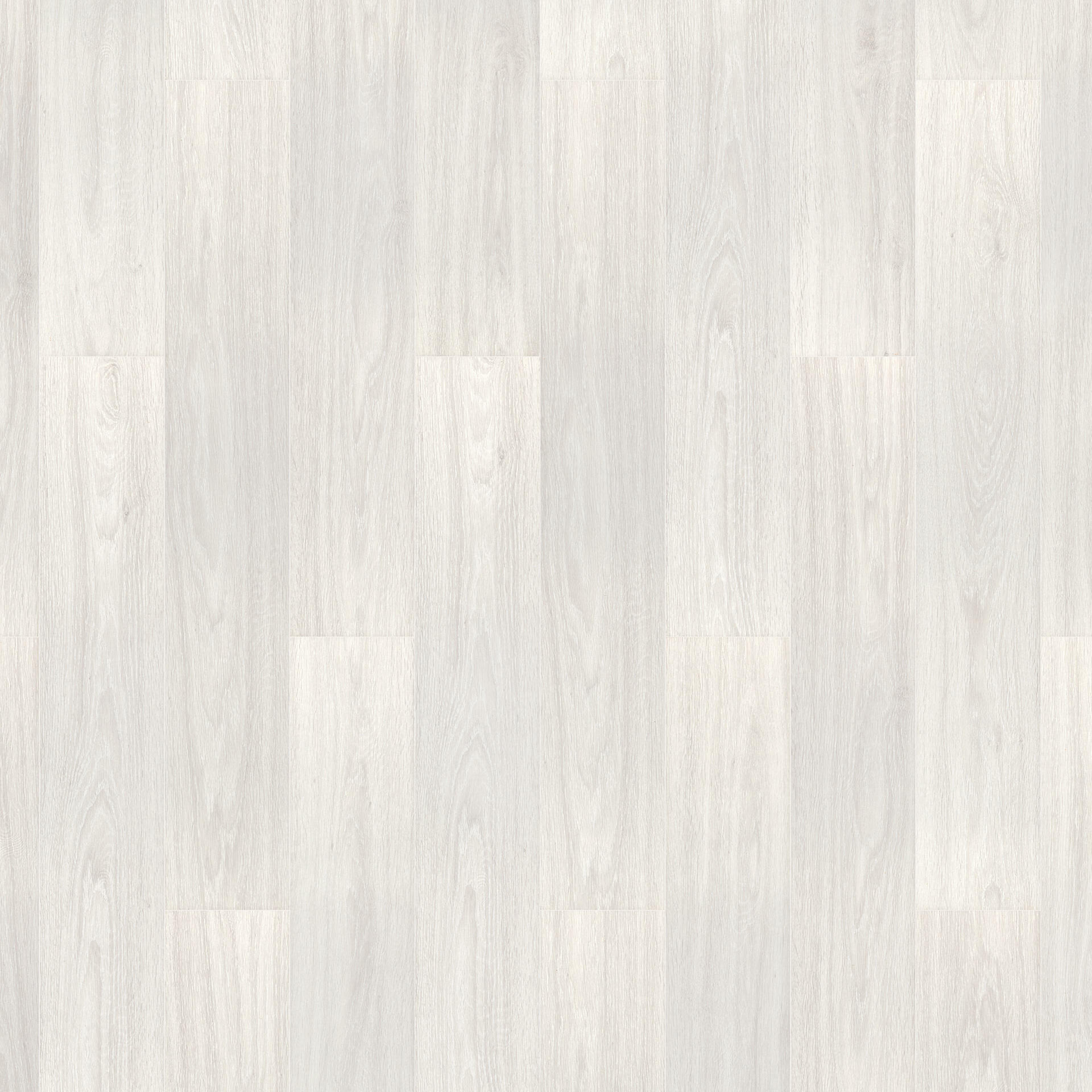 Oak Pando White