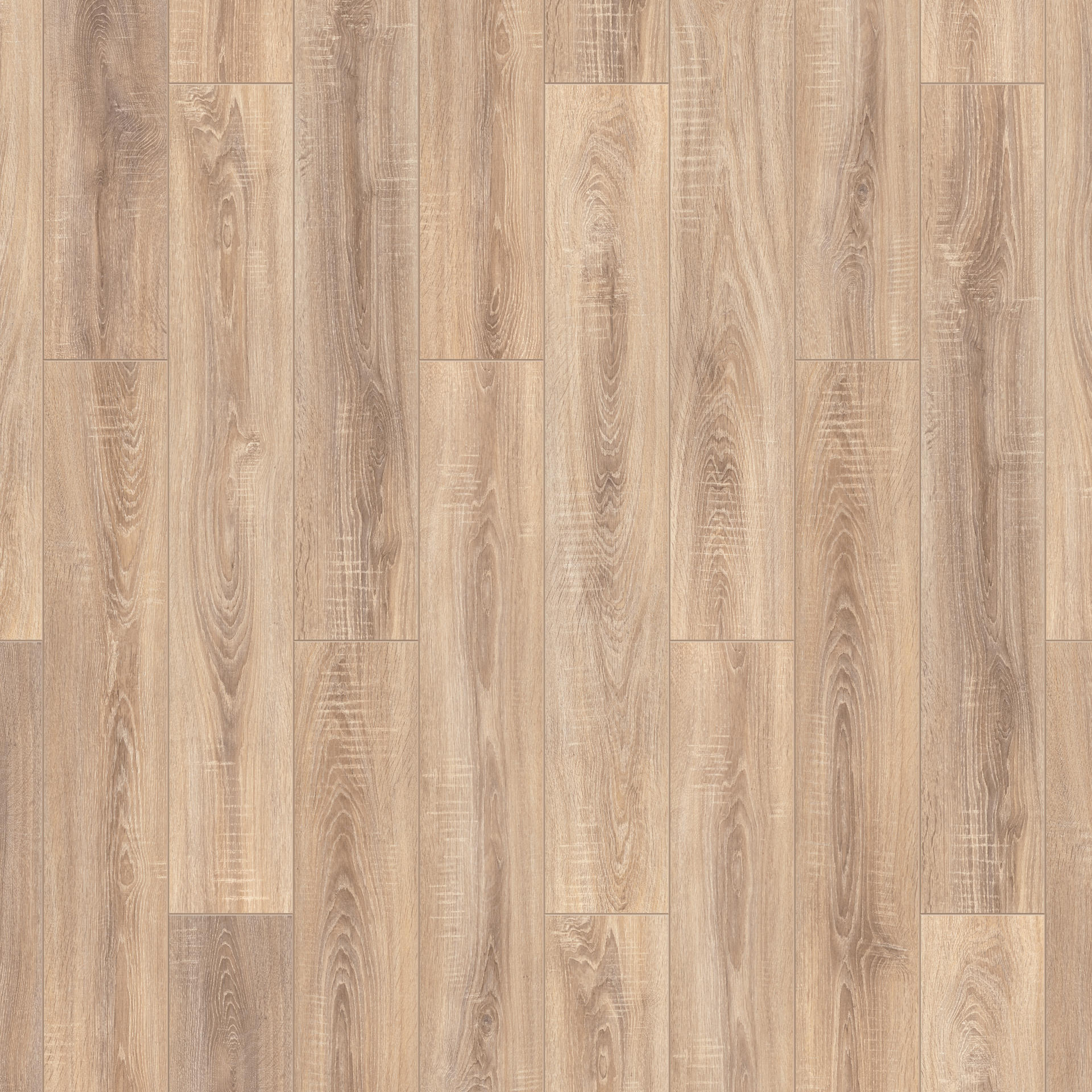 Oak Provence